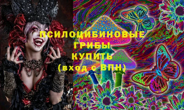 а пвп мука Гусиноозёрск