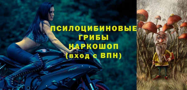 2c-b Гусь-Хрустальный