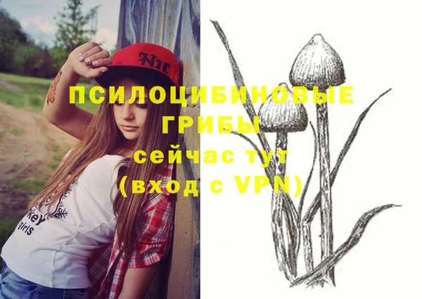 2c-b Гусь-Хрустальный