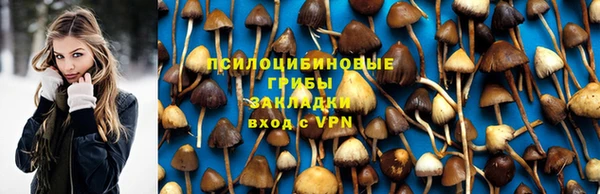 мяу мяу мука Гусев