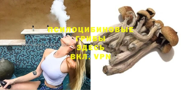 мяу мяу мука Гусев