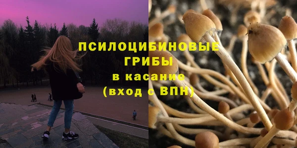 мяу мяу мука Гусев