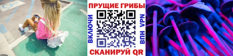 Псилоцибиновые грибы мухоморы  Павлово 